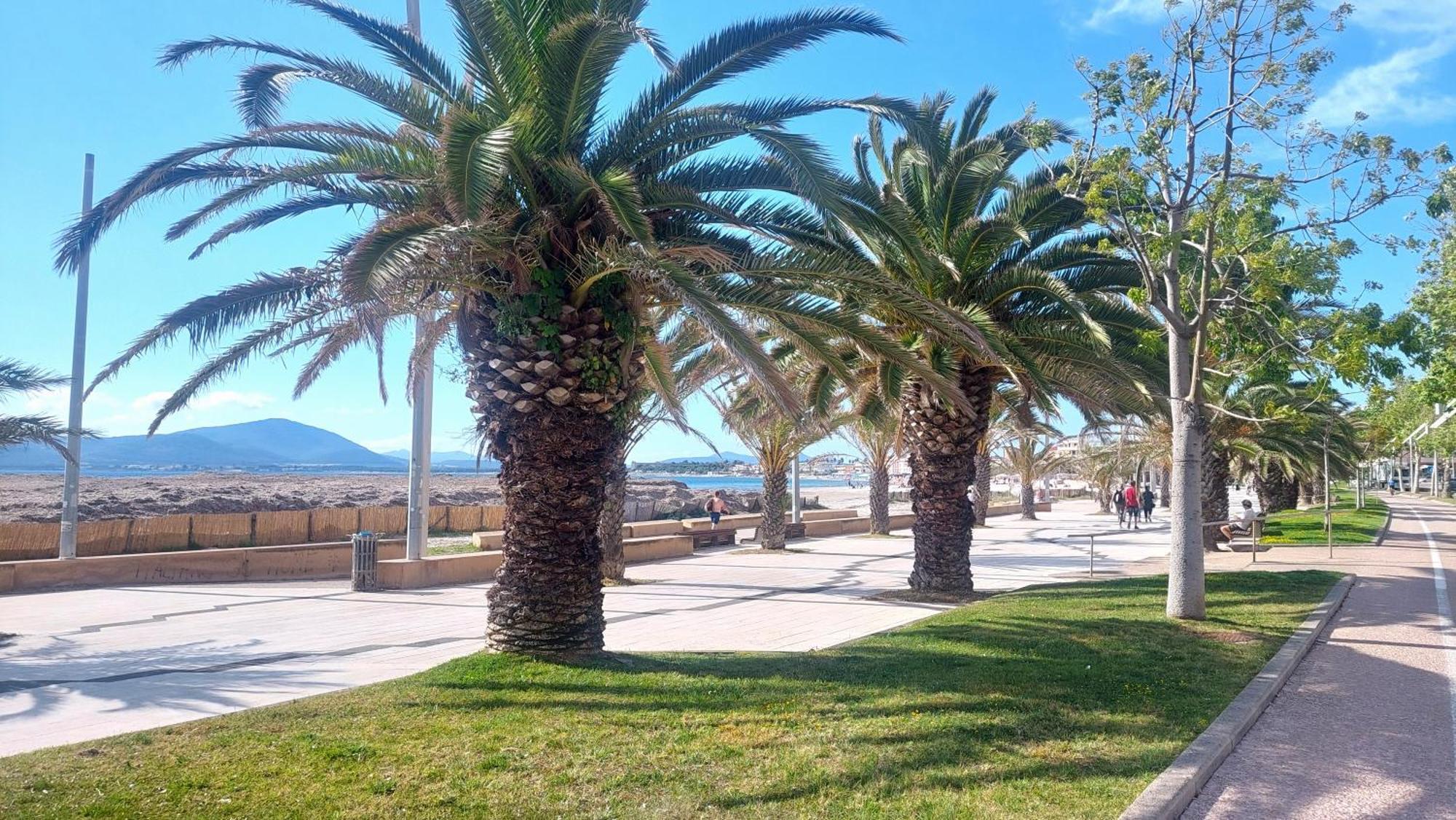 Lovealghero Stanze In Attico Vista Mare Bagian luar foto